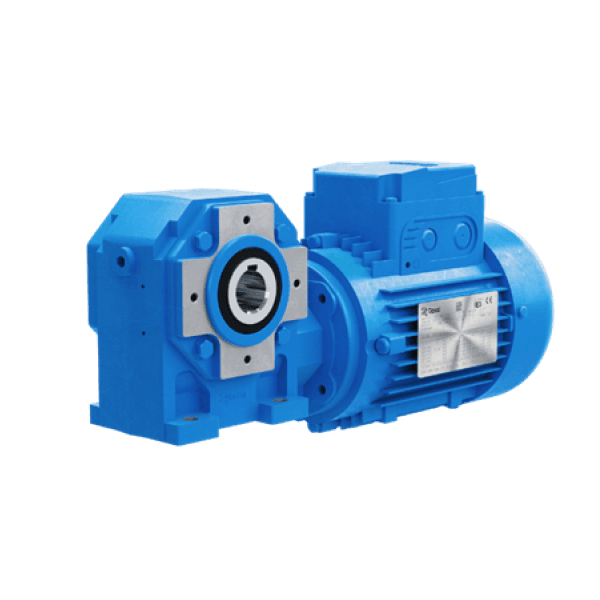 Worm gearmotors